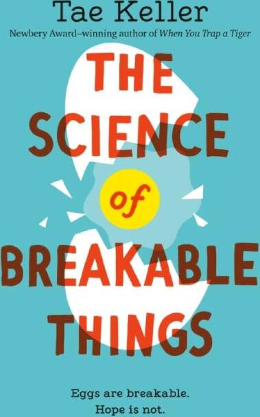 The Science of Breakable Things av Tae Keller