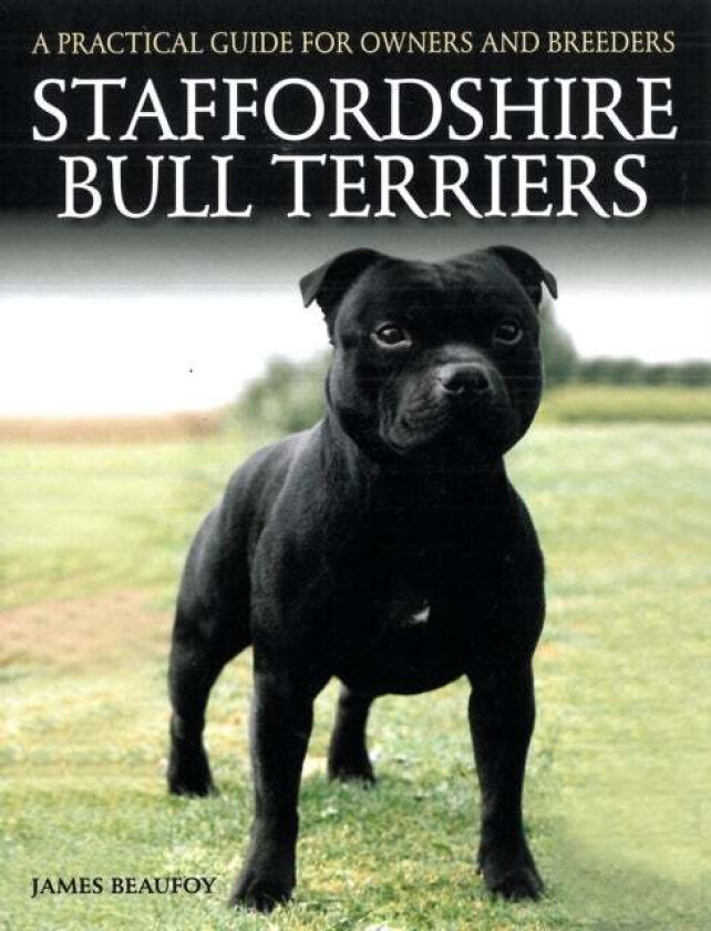 Staffordshire Bull Terriers av James Beaufoy