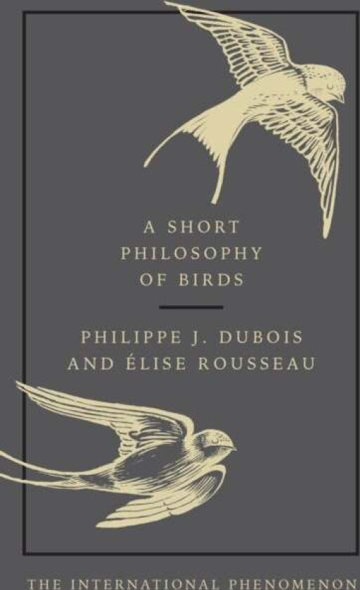 A short philosophy of birds av Philippe J. & Rousseau Elise Dubois