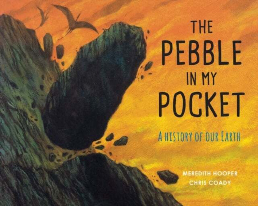 The Pebble in My Pocket av Meredith Hooper
