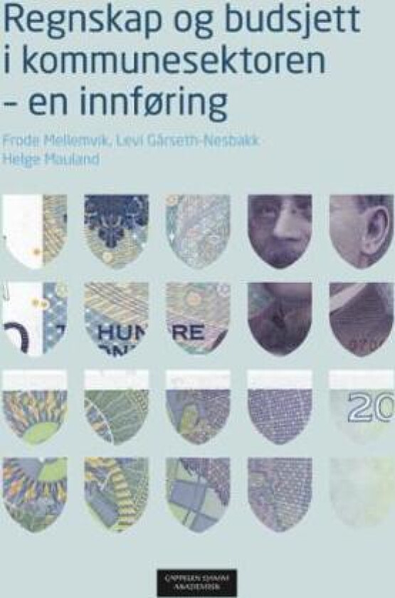 Regnskap og budsjett i kommunesektoren av Levi Gårseth-Nesbakk, Helge Mauland, Frode Mellemvik