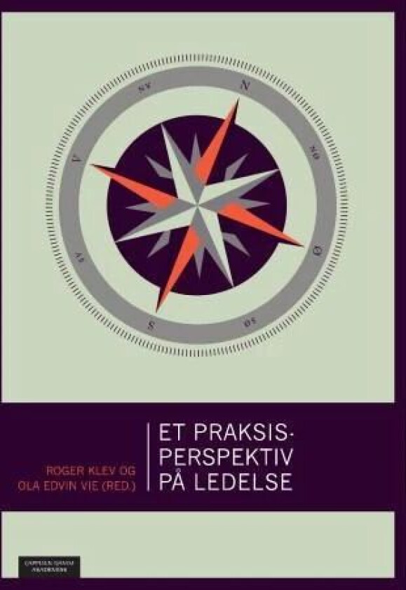 Et praksisperspektiv på ledelse