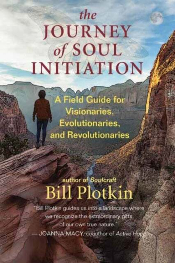 The Journey of Soul Initiation av Bill Plotkin