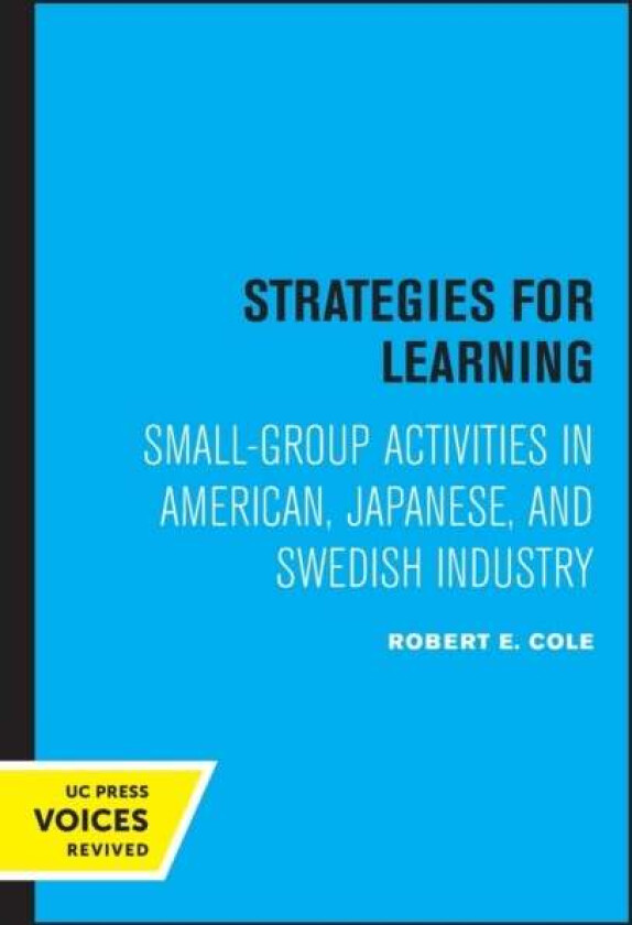 Strategies for Learning av Robert E. Cole