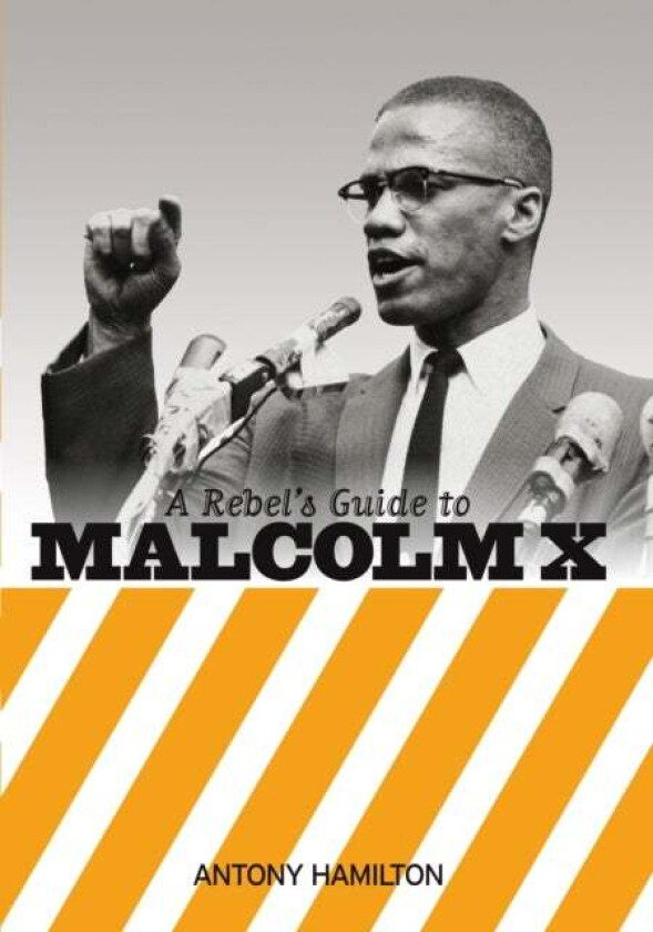 A Rebel's Guide To Malcolm X av Antony Hamilton