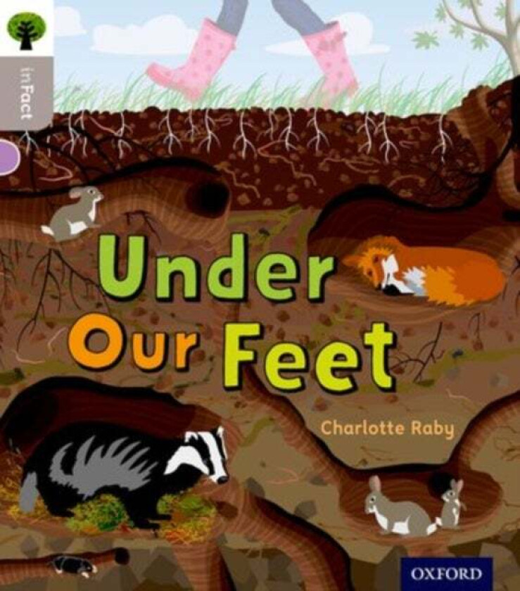 Oxford Reading Tree inFact: Oxford Level 1: Under Our Feet av Charlotte Raby