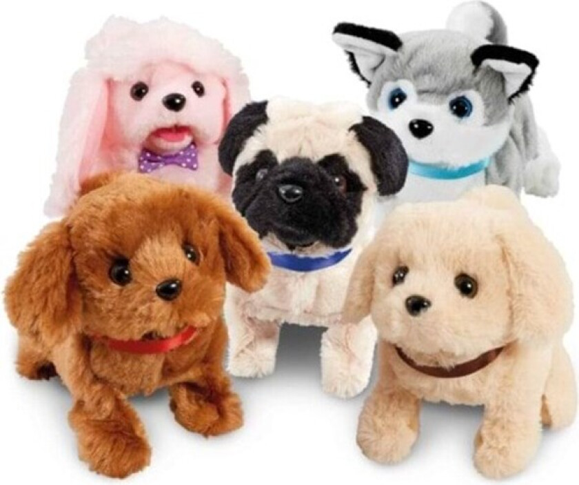 Playful Puppy Pals asst.