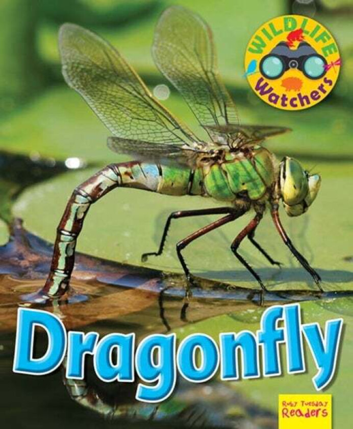 Wildlife Watchers: Dragonfly av Ruth Owen