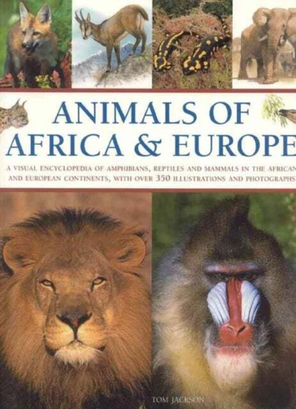 Animals of Africa and Europe av Michael Chinery, Tom Jackson