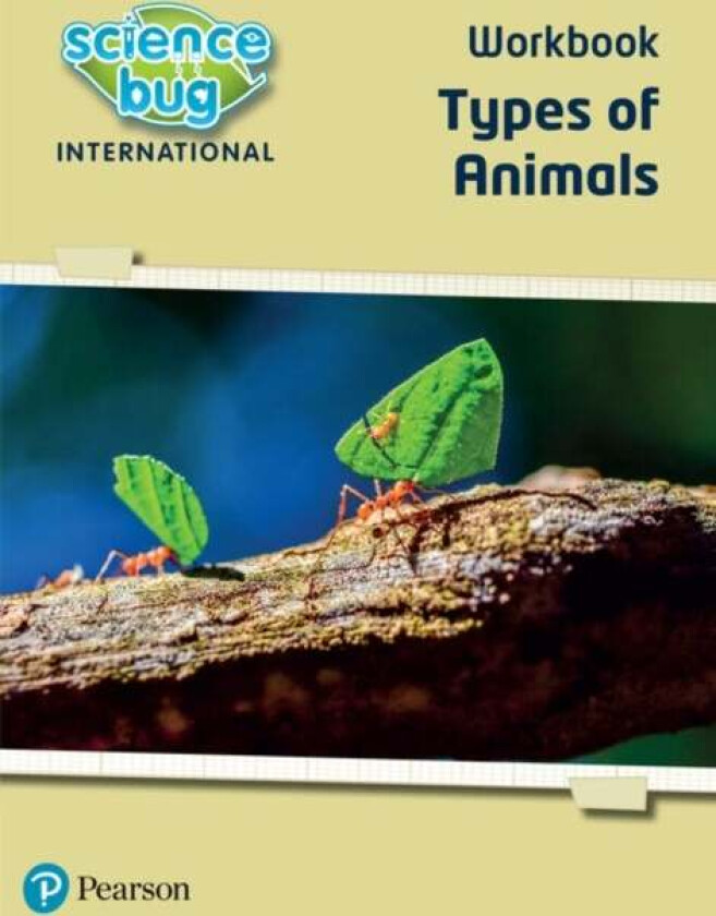 Science Bug: Types of animals Workbook av Deborah Herridge, Nicola Waller