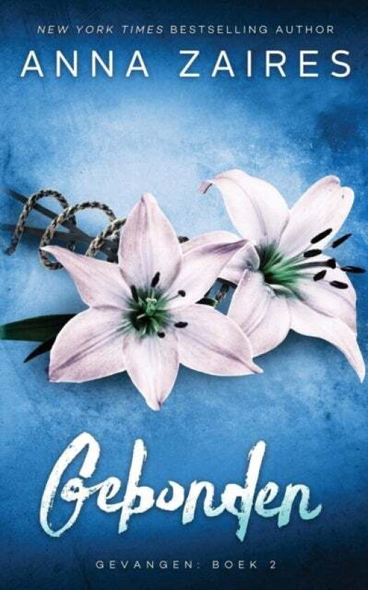 Gebonden av Anna Zaires, Dima Zales