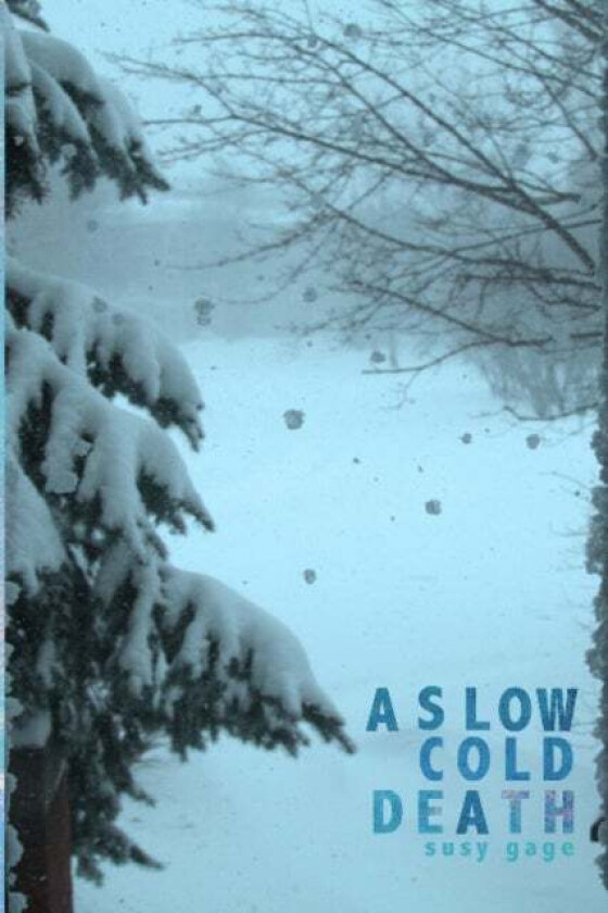 A Slow Cold Death av Susy Gage