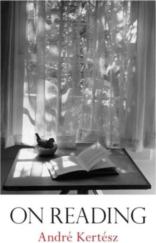 On Reading av Andre Kertesz