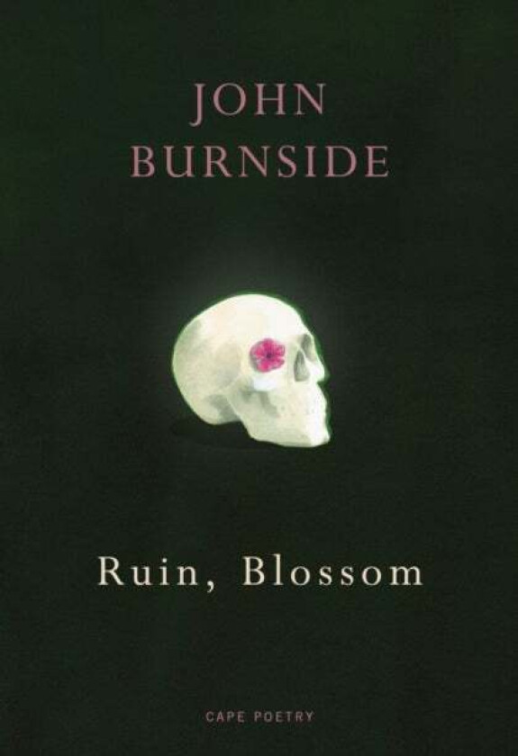 Ruin, Blossom av John Burnside