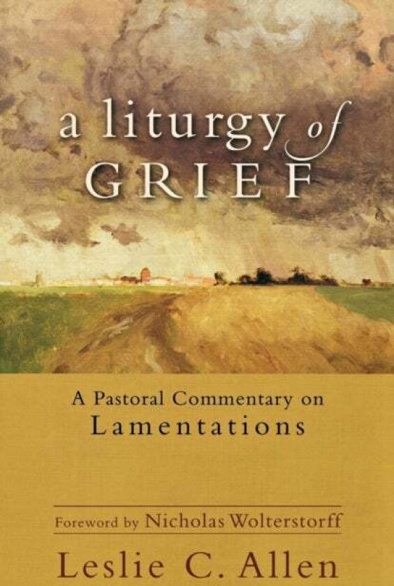 A Liturgy of Grief - A Pastoral Commentary on Lamentations av Leslie C. Allen, Nicholas Wolterstorff