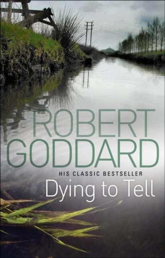 Dying To Tell av Robert Goddard