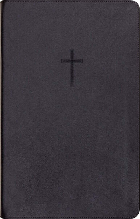 Bibel 2024