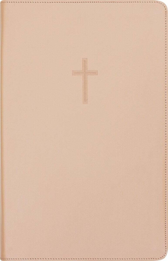 Bibel 2024