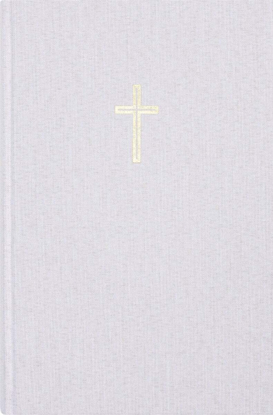 Bibel 2024