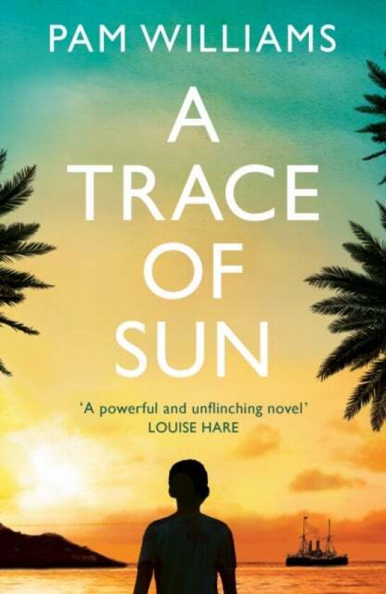 A Trace Of Sun Av Pam Williams