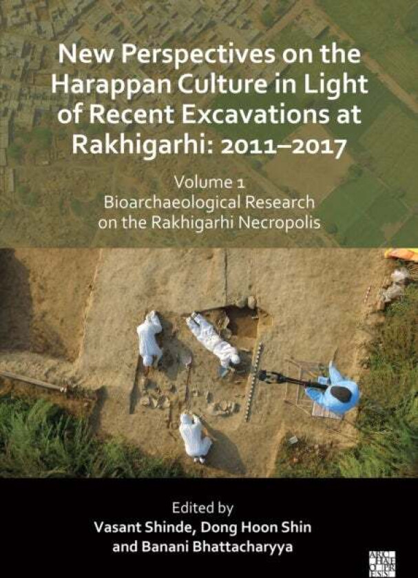 New Perspectives on the Harappan Culture in Light of Recent Excavations at Rakhigarhi