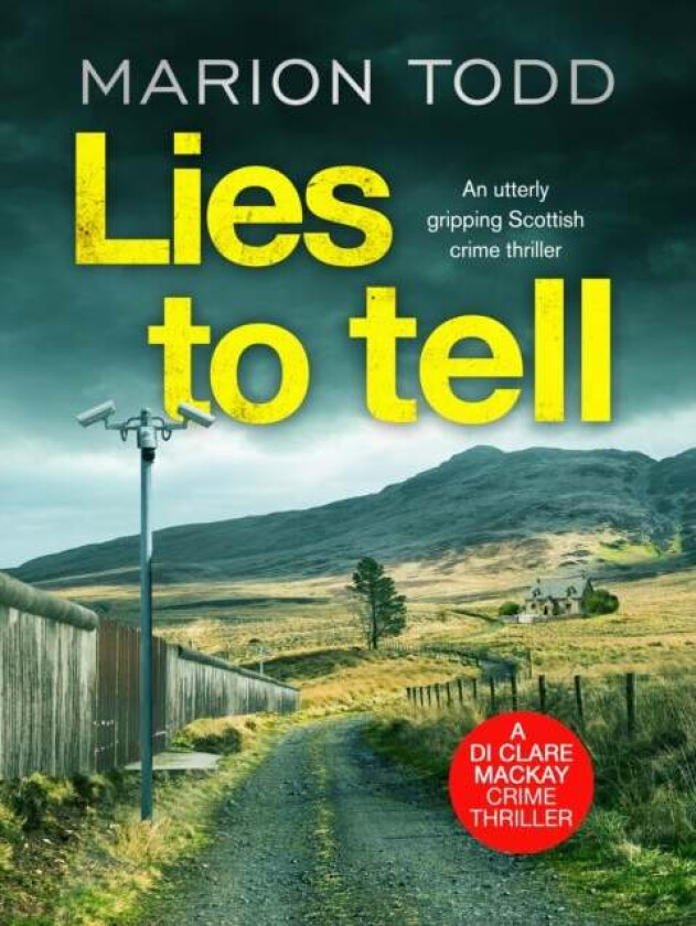 Lies to Tell av Marion Todd