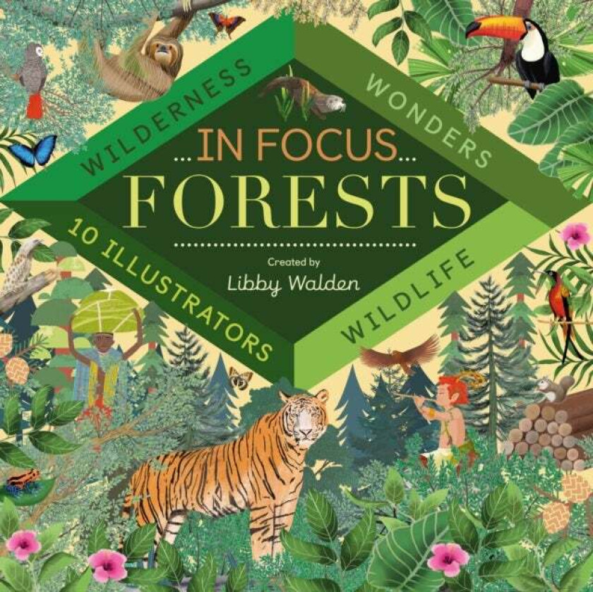 In Focus: Forests av Libby Walden