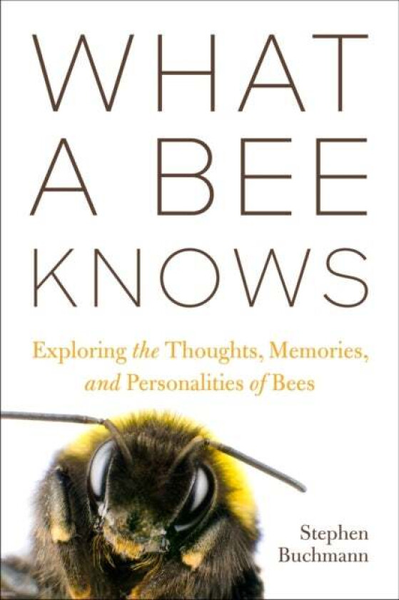 What a Bee Knows av Stephen L Buchmann