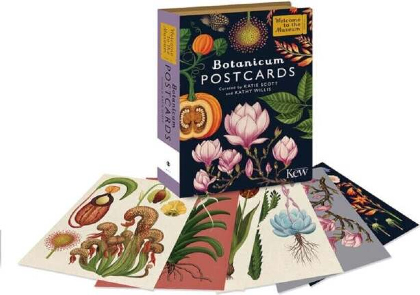 Botanicum postcards av Kathy Willis