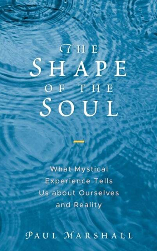 The Shape of the Soul av Paul Marshall