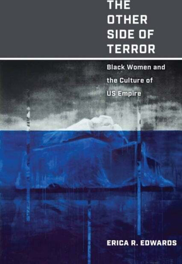 The Other Side of Terror av Erica R. Edwards