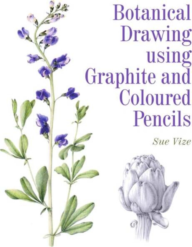 Botanical Drawing using Graphite and Coloured Pencils av Sue Vize