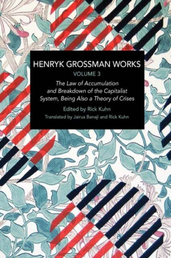 Henryk Grossman Works, Volume 3 av Henryk Grossman