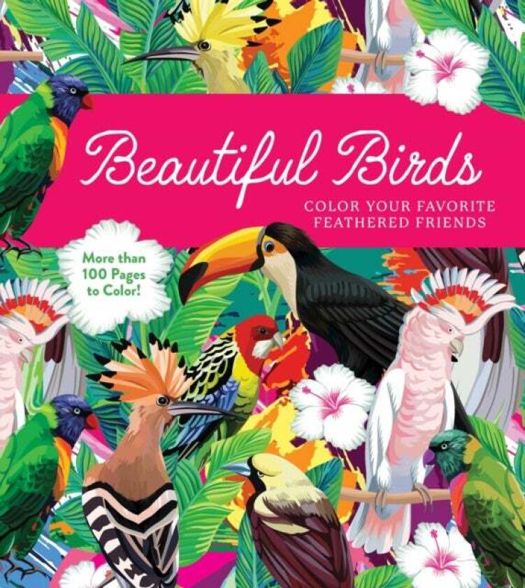 Beautiful Birds Coloring Book av Editors of Chartwell Books