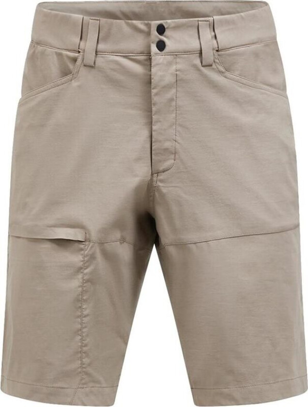 Iconiq Shorts Herre Avid Beige S