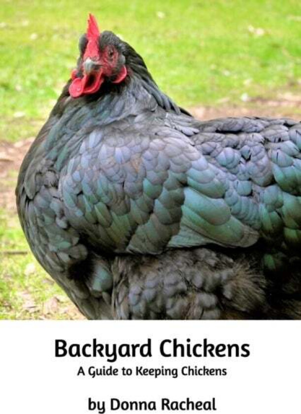Backyard Chickens av Donna Racheal