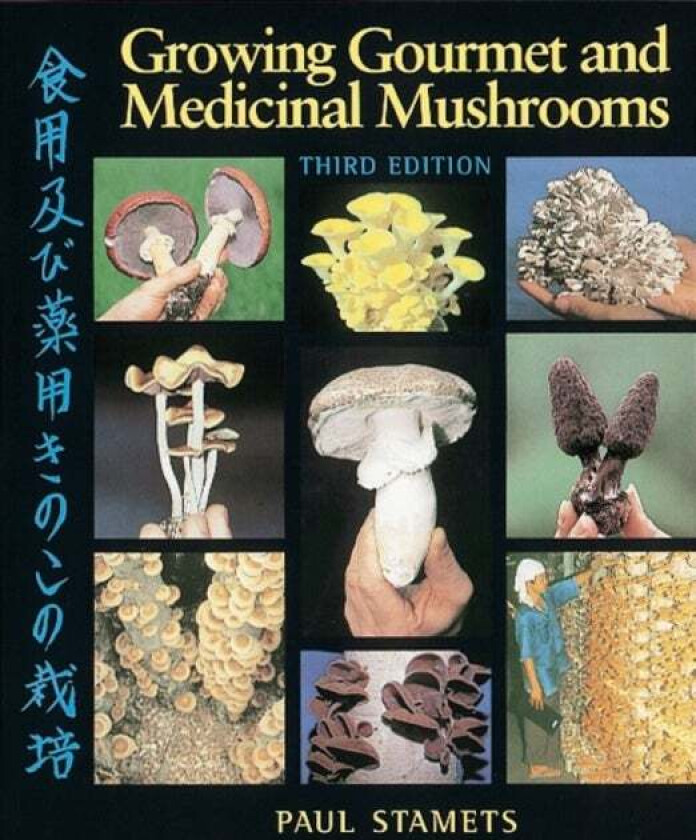 Growing Gourmet and Medicinal Mushrooms av Paul Stamets