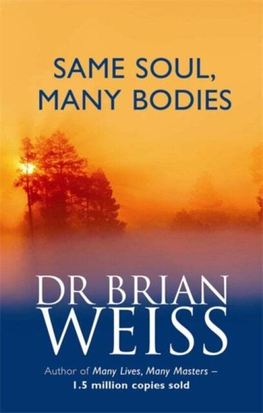 Same Soul, Many Bodies av Dr. Brian Weiss