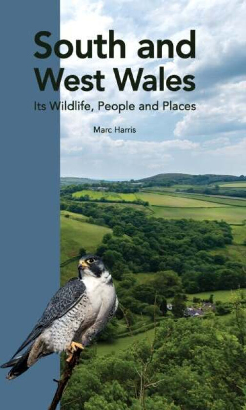 South and West Wales av Marc Harris