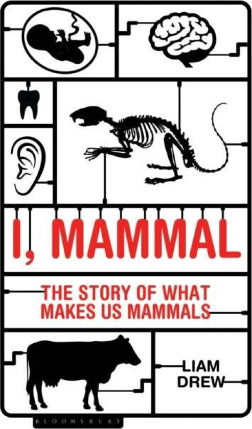 I, Mammal av Liam Drew