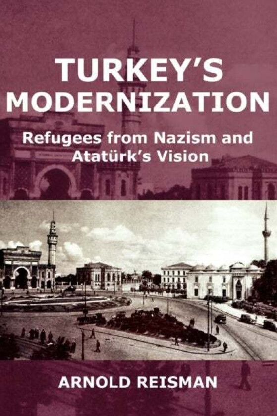 Turkey's Modernization av Arnold Reisman