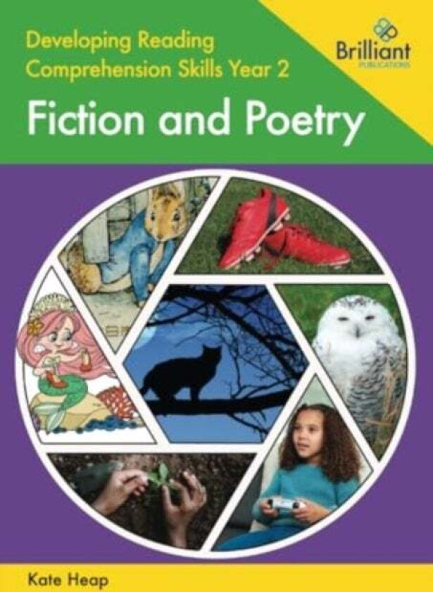 Developing Reading Comprehension Skills Year 2: Fiction and Poetry av Kate Heap