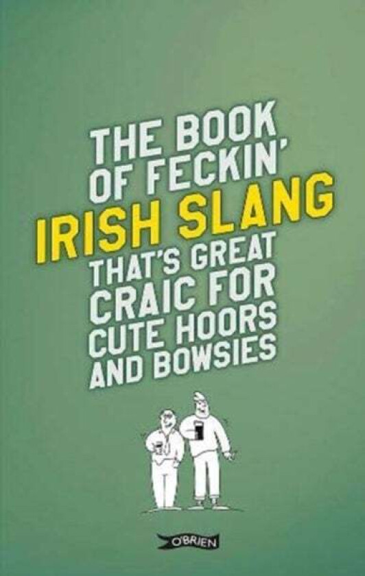 The Book of Feckin' Irish Slang that's great craic for cute hoors and bowsies av Colin Murphy, Donal O'Dea
