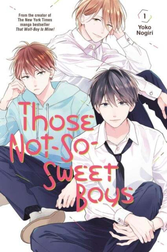 Those Not-So-Sweet Boys 1 av Yoko Nogiri