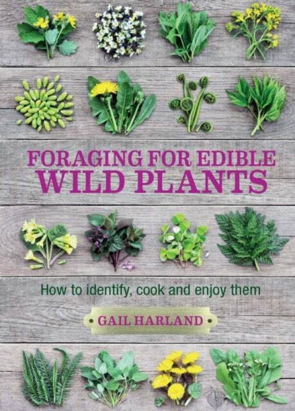 Foraging for Edible Wild Plants av Gail Harland