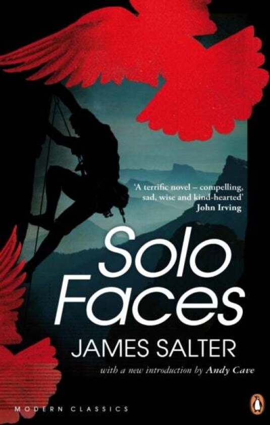 Solo Faces av James Salter