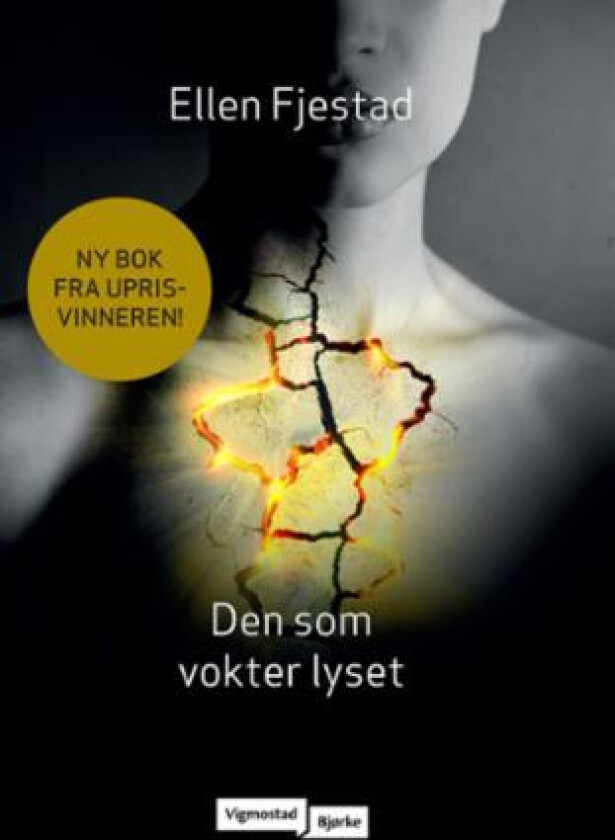 Den som vokter lyset av Ellen Fjestad
