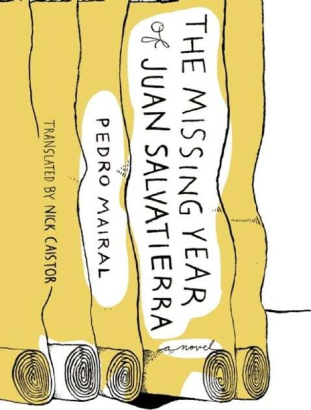 The Missing Year Of Juan Salvatierra Av Pedro Mairal