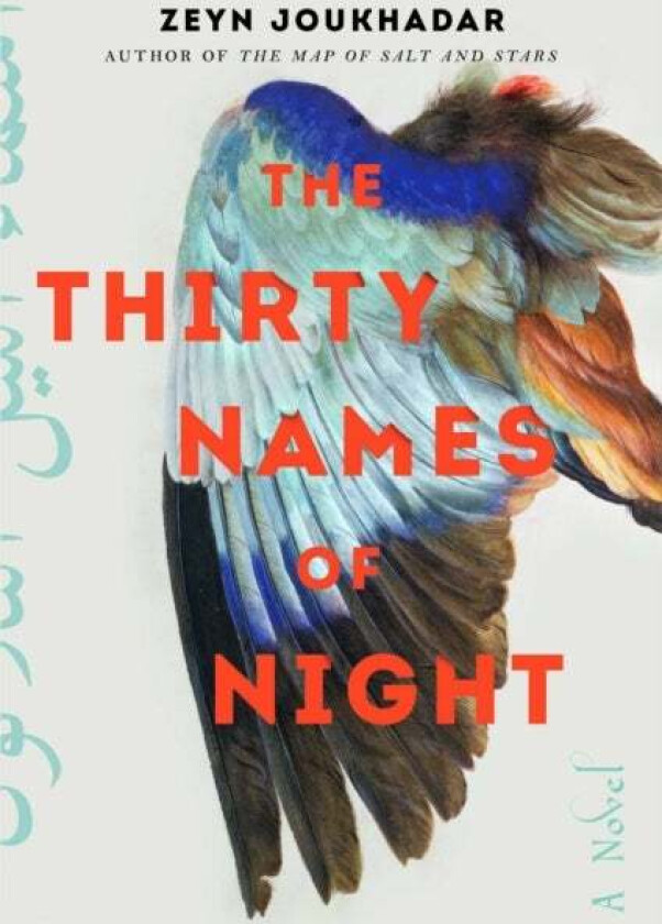 The Thirty Names of Night av Zeyn Joukhadar