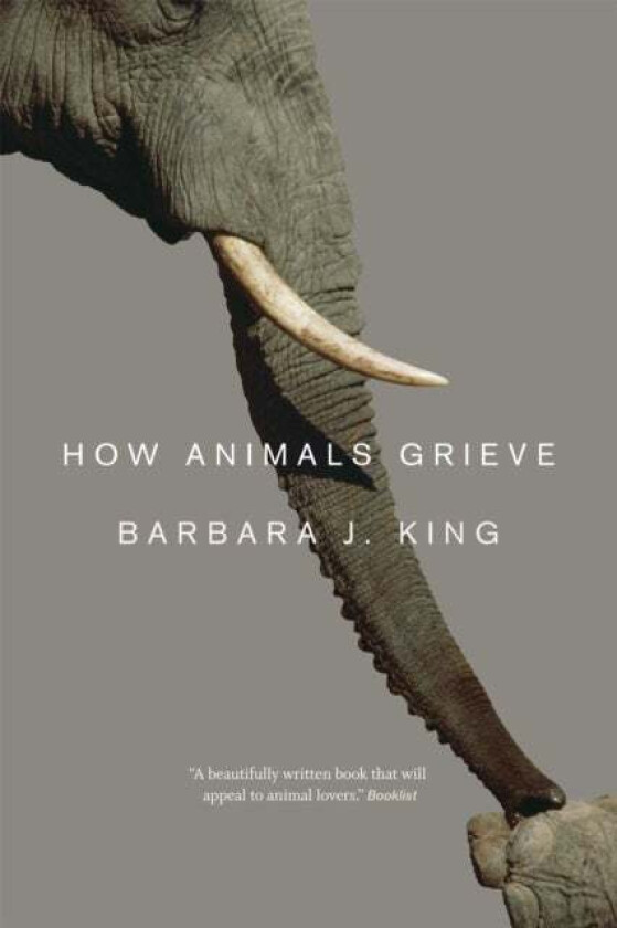 How Animals Grieve av Barbara J. King